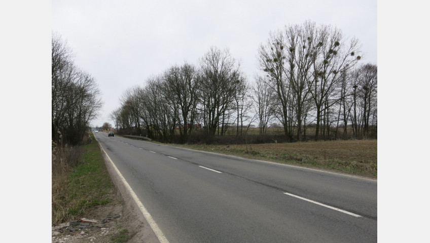 Działka Sprzedaż Przęsocin