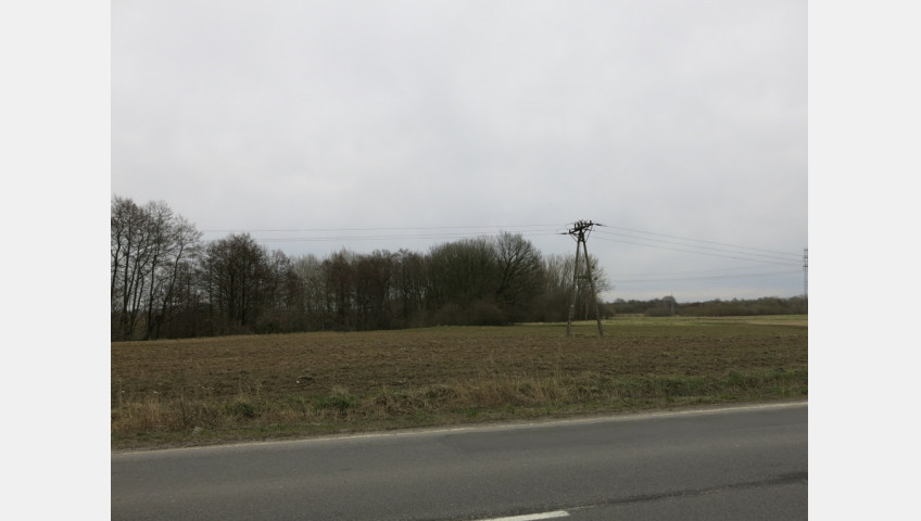Działka Sprzedaż Przęsocin